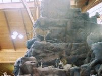 photos 2000-200901002